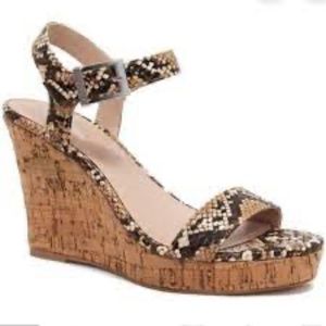 Charles David Snakeskin  Lindy Wege, Size 10 NIB